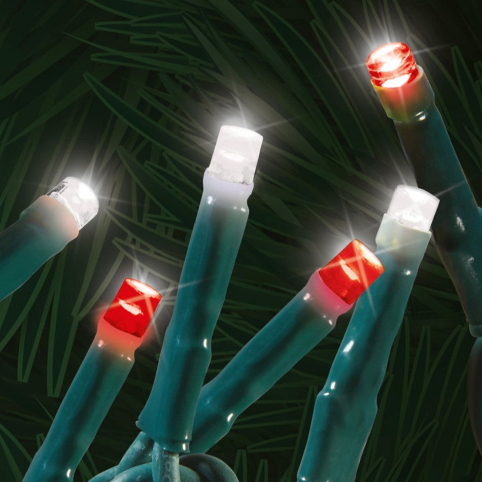 Amazing Seasons Low Voltage Starry 600L LED Light Set (Super Bright Steady Red & Pure White)