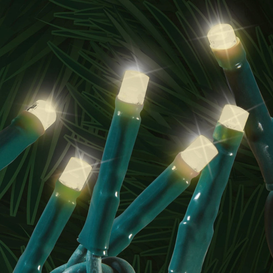 Amazing Seasons Low Voltage 600LED Starry Light Set Warm White