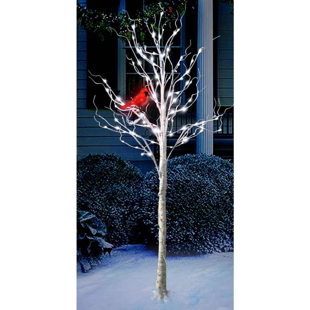 Aurio 6 FT Birch Tree with Red Cardinal