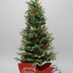 Aurio 5FT Green Mountain Fir Tree in Sleigh