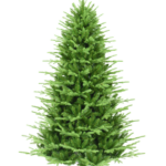 Aurio 6.5 FT Nordic Fir Christmas Tree