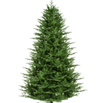 Aurio 7.5 FT Nordic Fir Artificial Christmas Tree