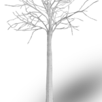 AurioTek 6 FT Bare Branch WRGB Smart Tree